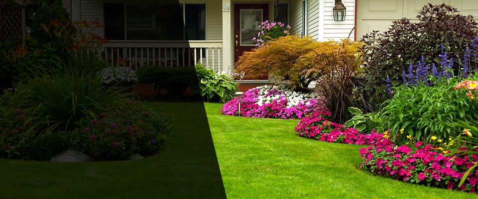 Kinston Landscapers