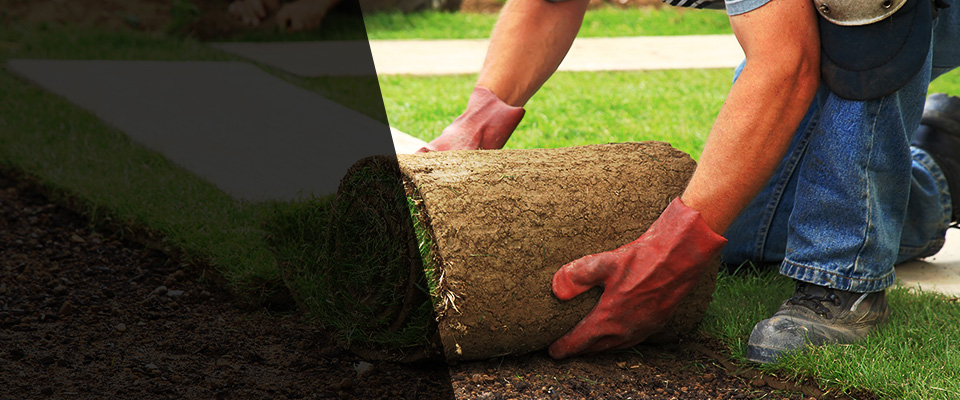 Kinston Landscapers